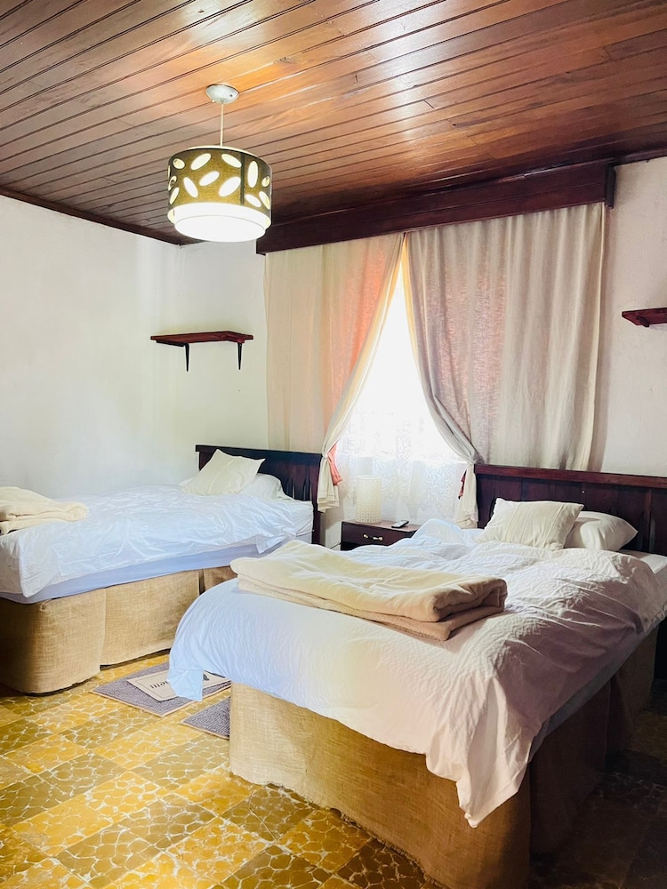 Basic Twin Room, 2 Twin Beds photo 1
