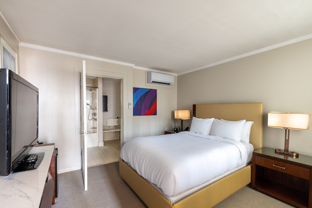 1 Double Bed Accessible photo 1