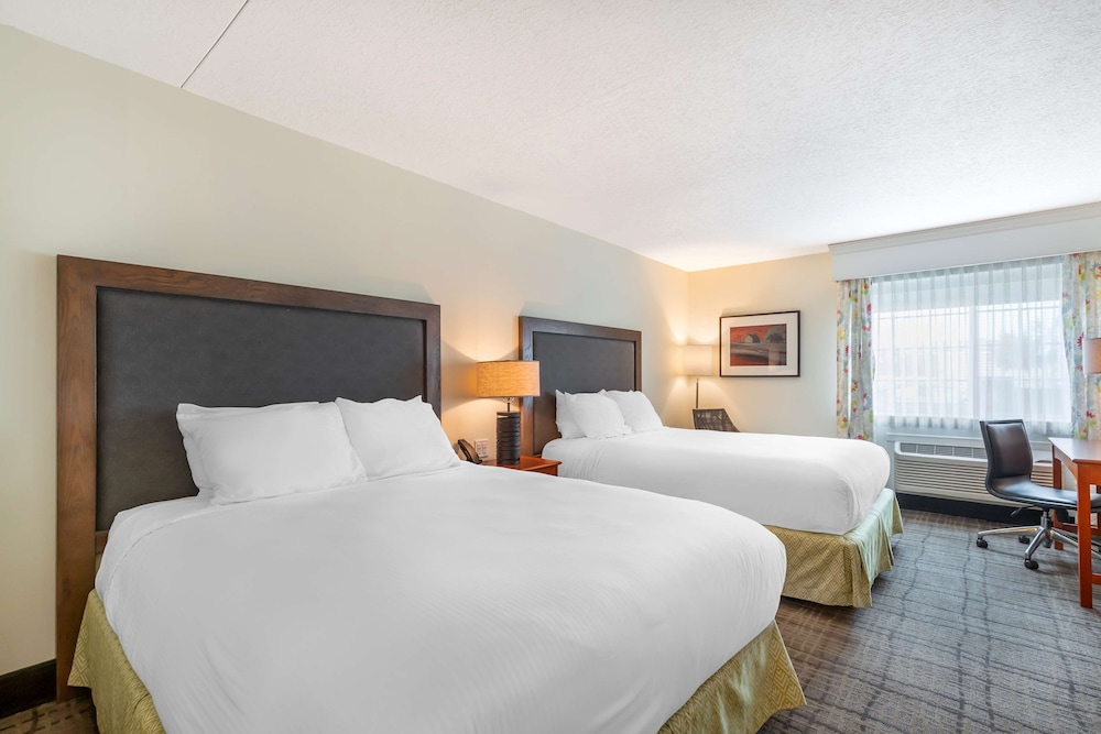 Standard Room, 2 Queen Beds, Non Smoking, Refrigerator - Photo 9