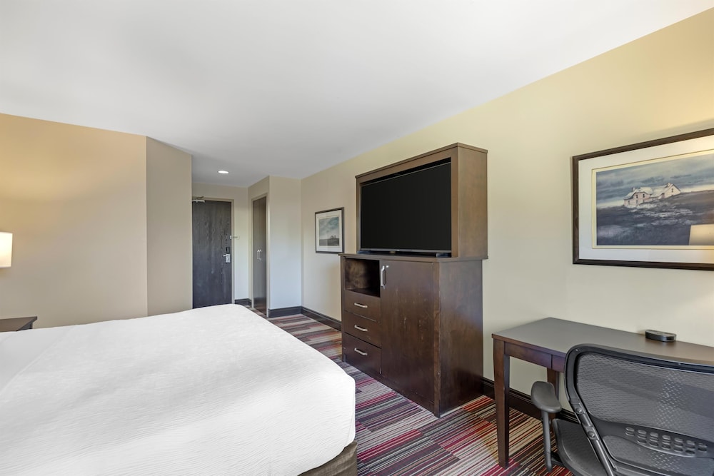 Standard Room, 1 King Bed, Non Smoking, Refrigerator & Microwave - Photo 3