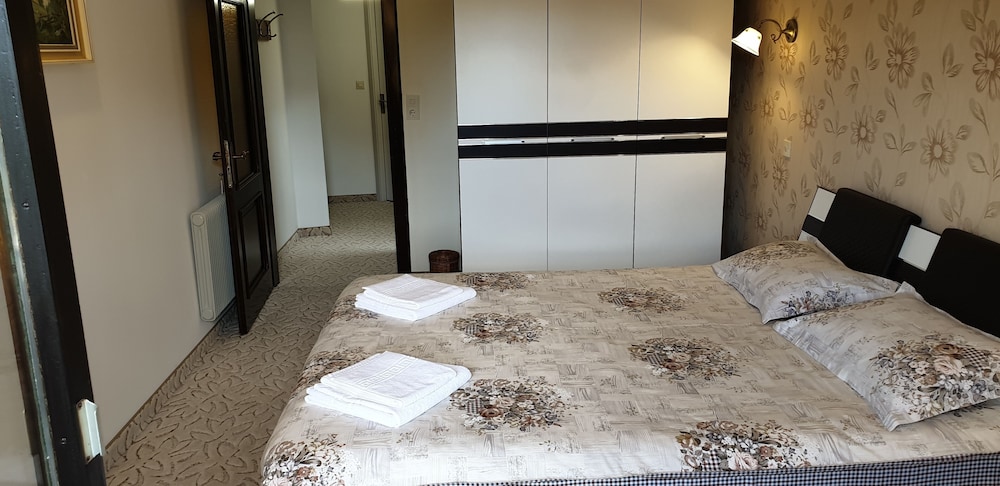 Comfort Double Room, 1 Queen Bed, Balcony, Mountain View (Comfort) photo 3