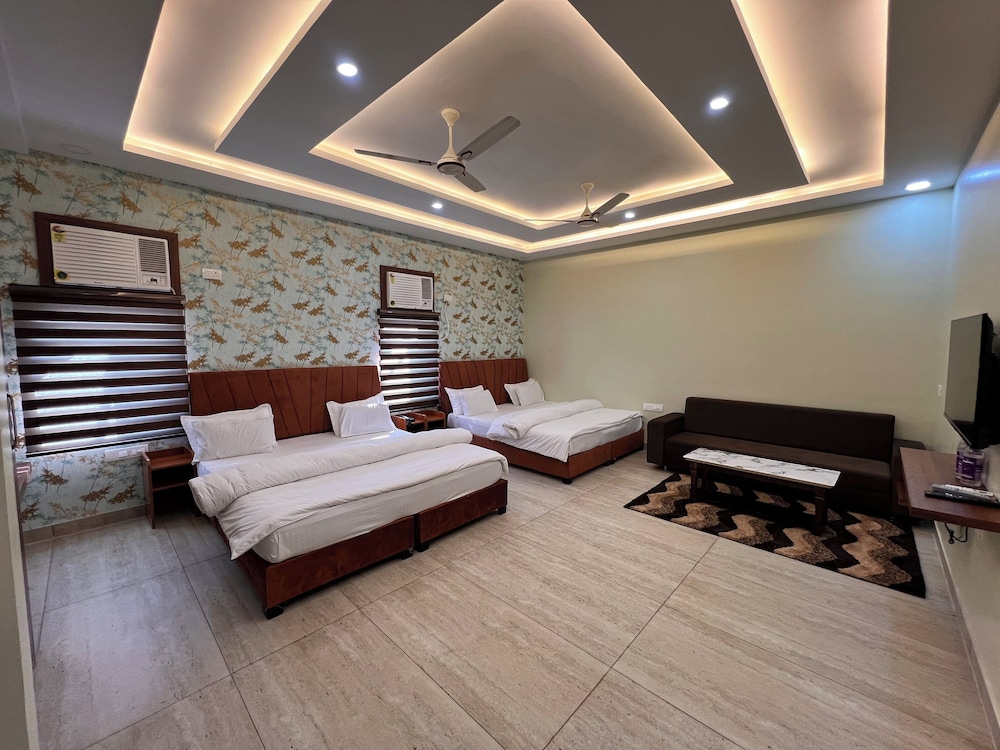 Luxury Studio Suite