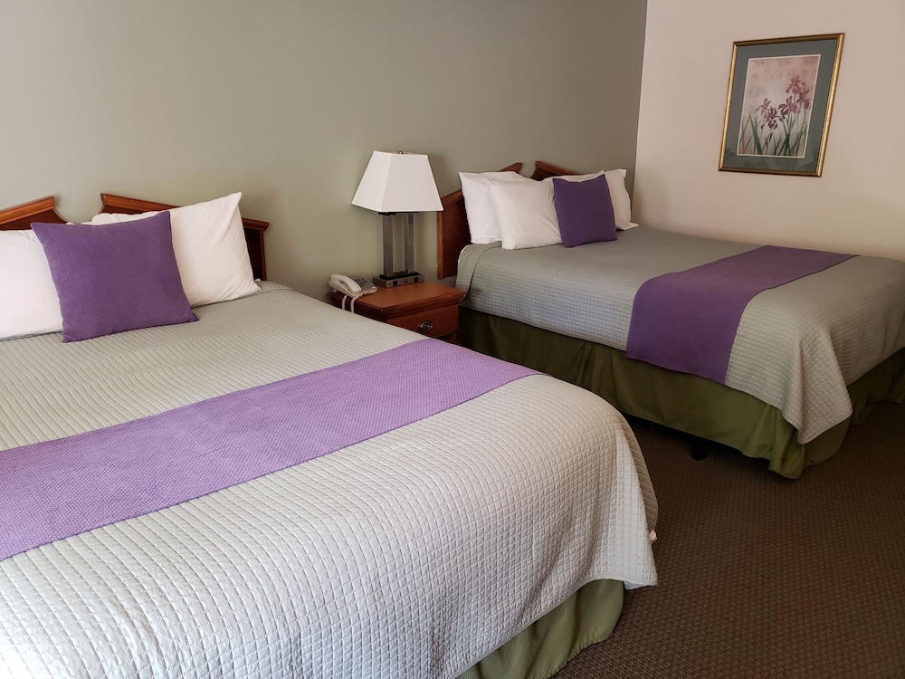 Standard Room, 2 Queen Beds photo 1