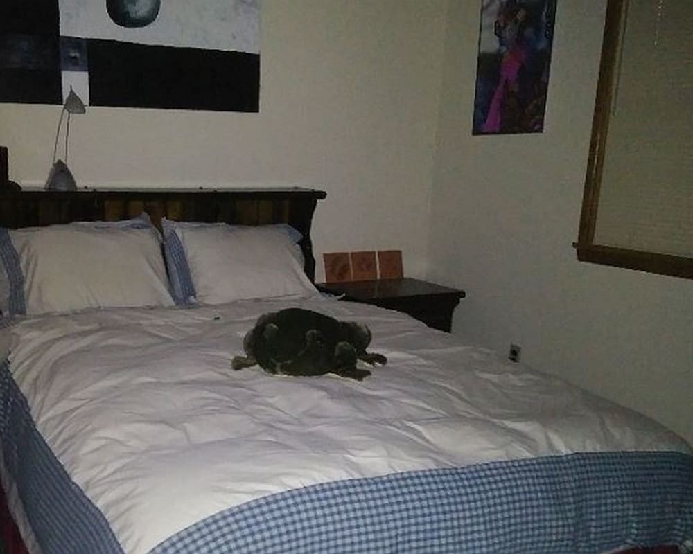 House, 3 Twin Beds (Evergreen Village Retreat) photo 1