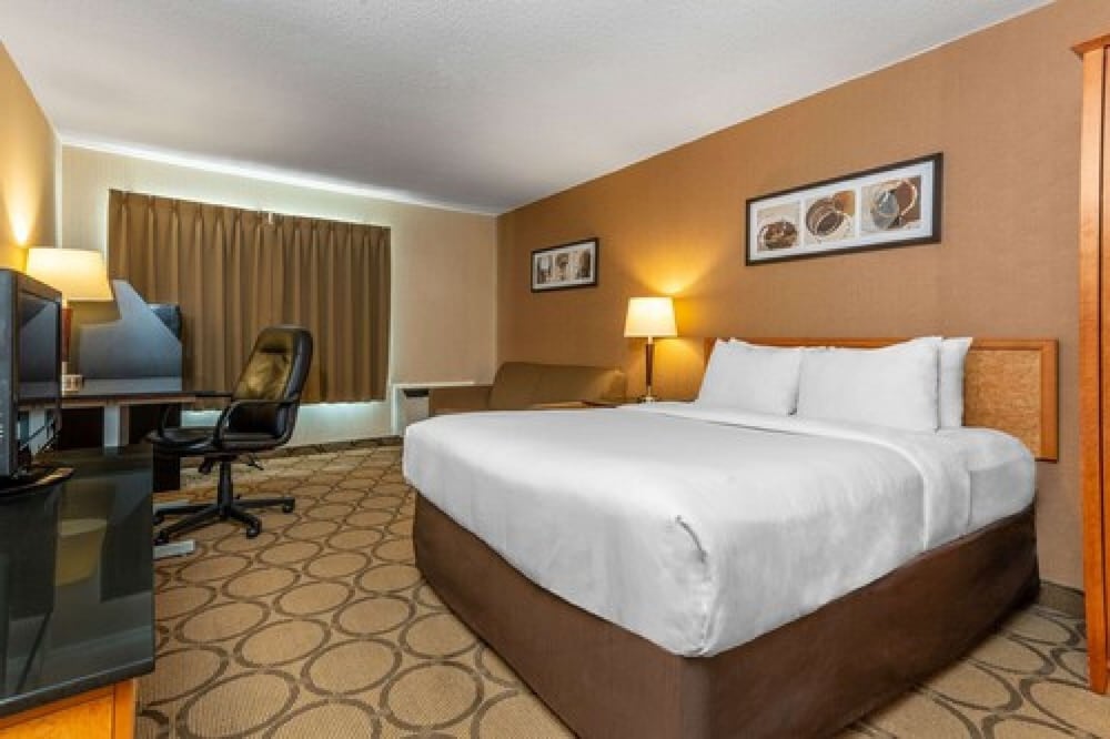Standard Room, 1 Queen Bed with Sofa bed, Ground Floor - Photo 4