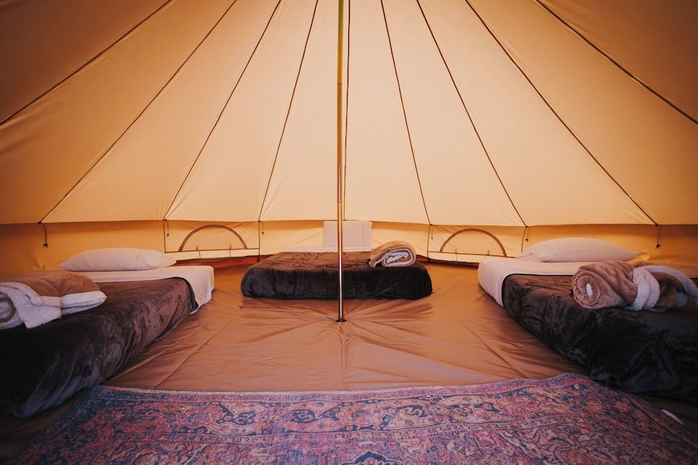 Triple Room, Patio, Desert View photo 1