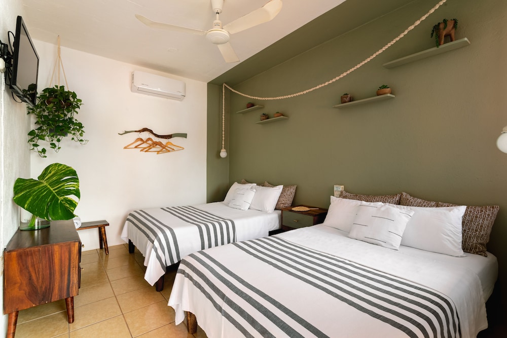 Basic Twin Room, 2 Double Beds photo 3