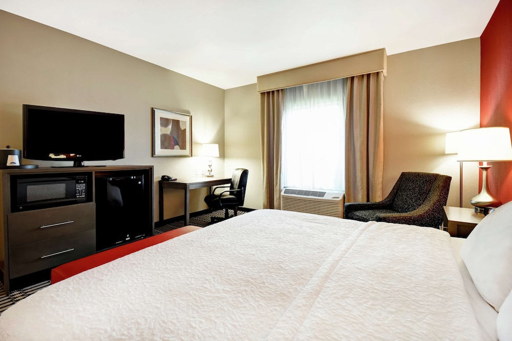 Room, 1 King Bed, Accessible, Non Smoking photo 2