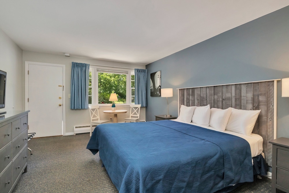 Basic Room, 1 King Bed photo 3