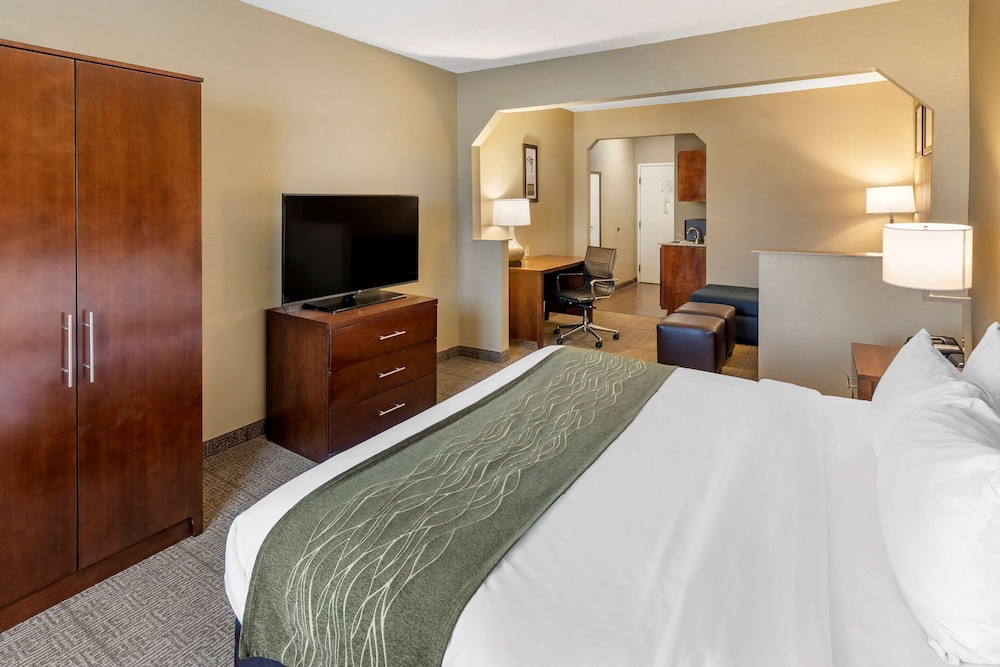 Standard Suite, 1 King Bed with Sofa bed, Non Smoking photo 2