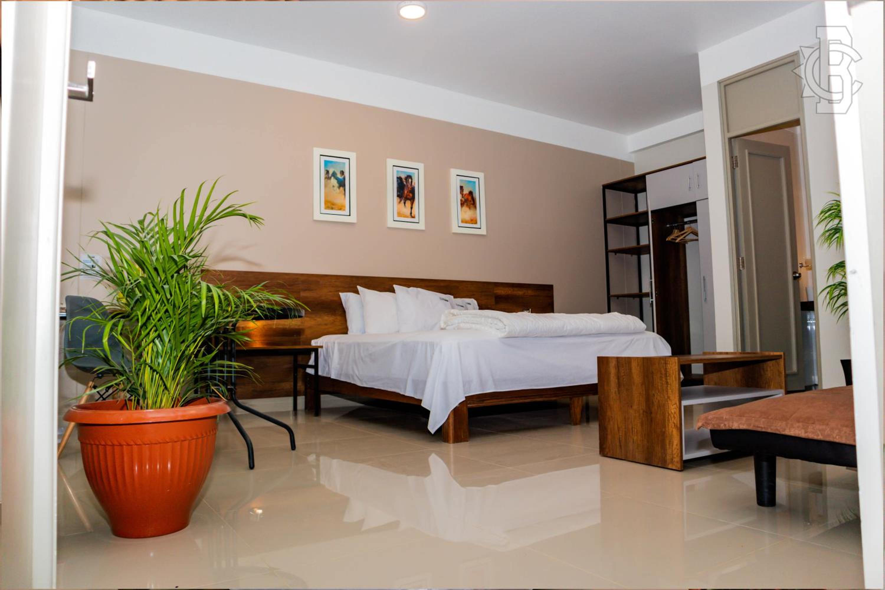 Junior Suite photo 3