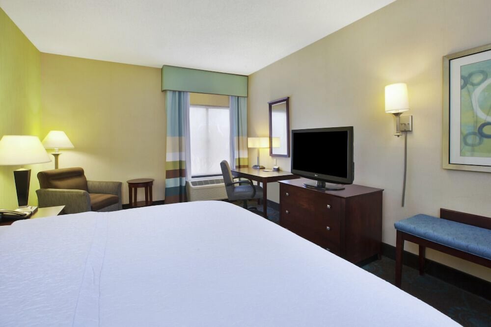 Standard Room, 1 King Bed Hearing Accessible w/ Sofa Bed photo 3
