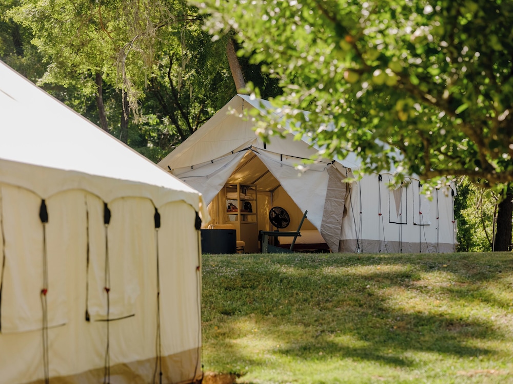 Glamping King photo 3
