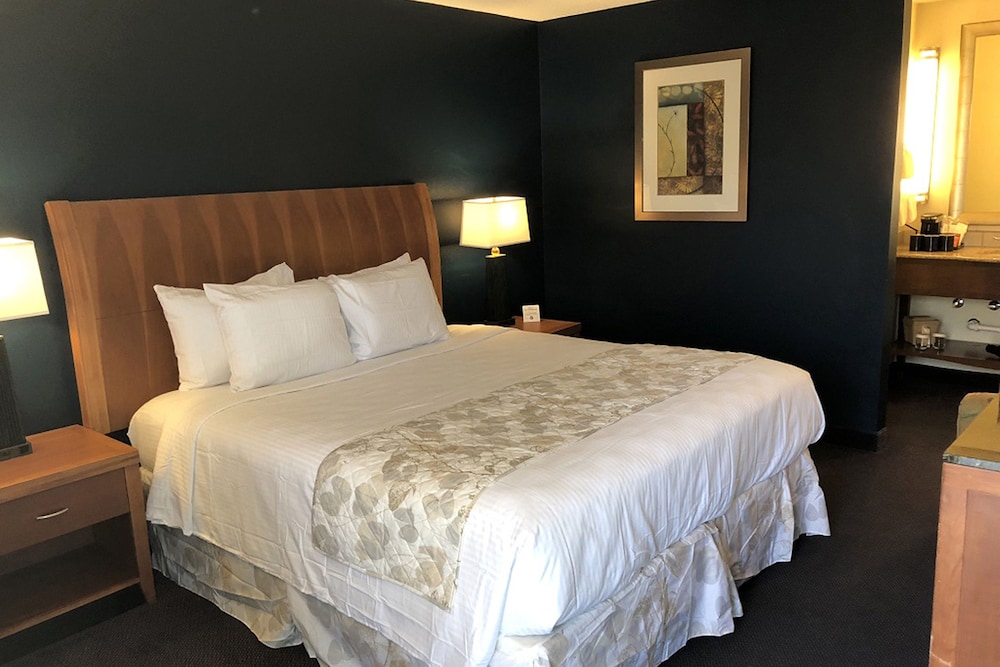 Standard Room, 1 King Bed, Non Smoking, Refrigerator photo 2
