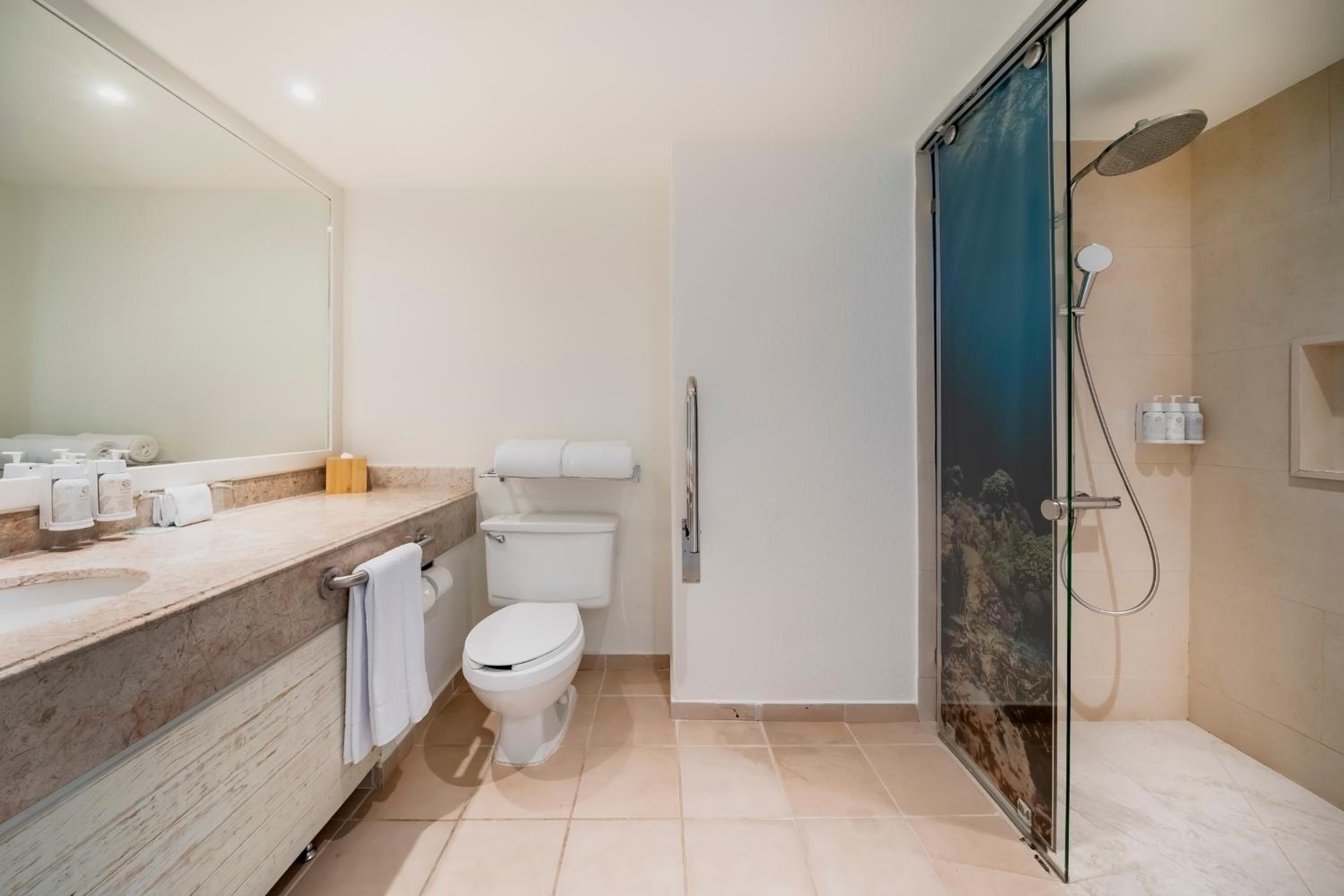 Premium Side Ocean View Accessible Single Use photo 3