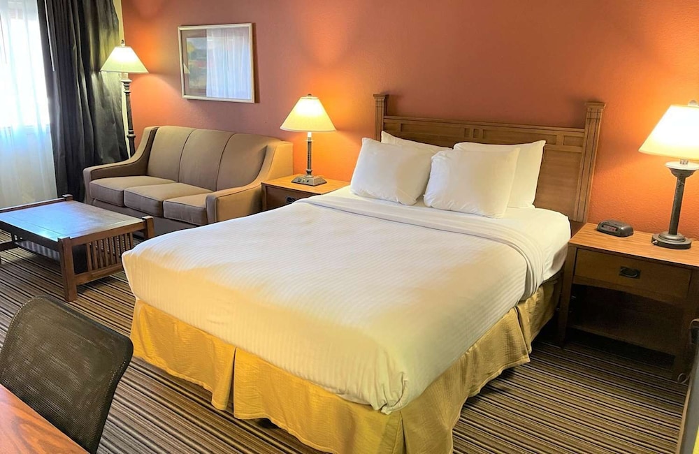 Standard Single Room, 1 Queen Bed with Sofa bed photo 1