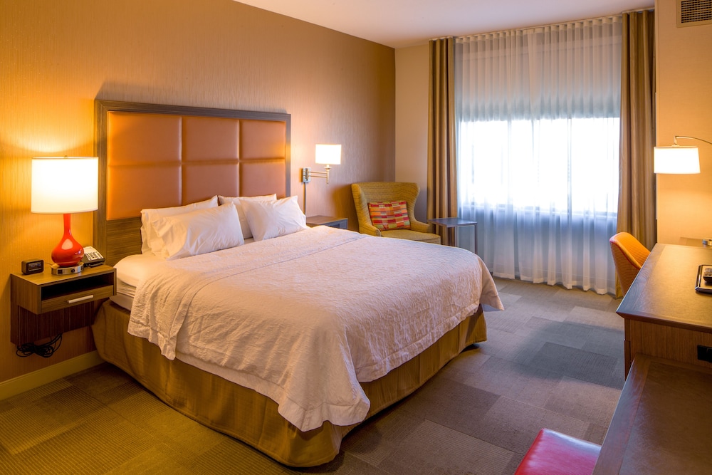 Room, 1 King Bed, Accessible, Non Smoking (Roll In Shower) photo 2