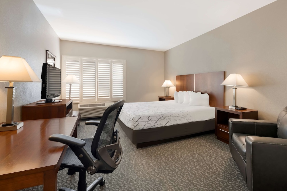 Standard Room, 1 King Bed, Non Smoking, Refrigerator & Microwave - Photo 1