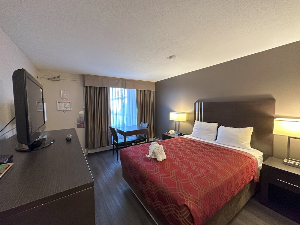 Standard Room, 1 Queen Bed, Non Smoking - Photo 10