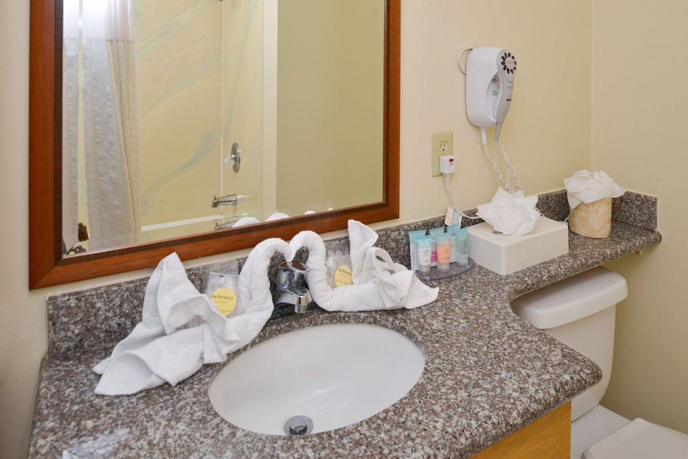 Luxury Suite - Photo 8