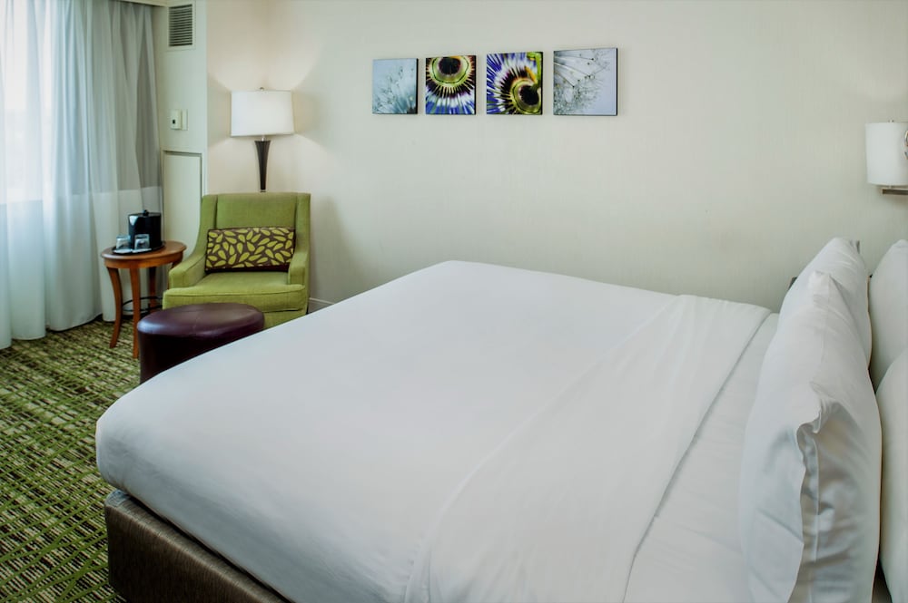 Room, 1 King Bed - Photo 4