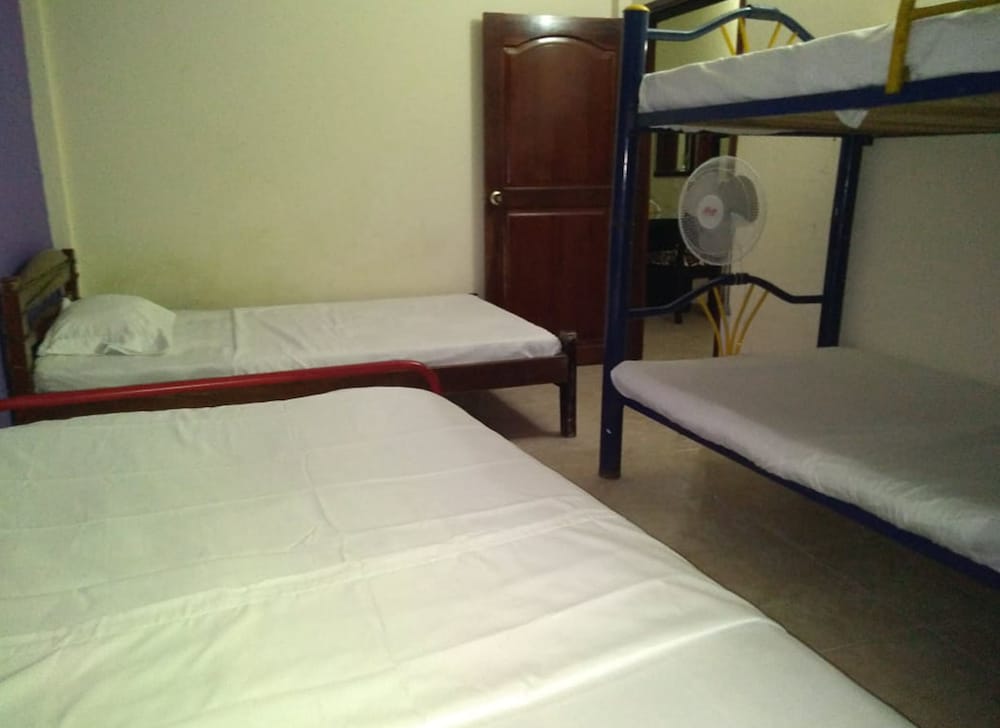 Shared Dormitory, Mixed Dorm, Shared Bathroom