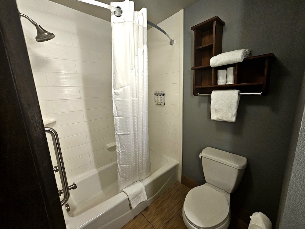 Standard Room, 1 King Bed, Accessible Bathtub (Hearing, Mobility Tub)