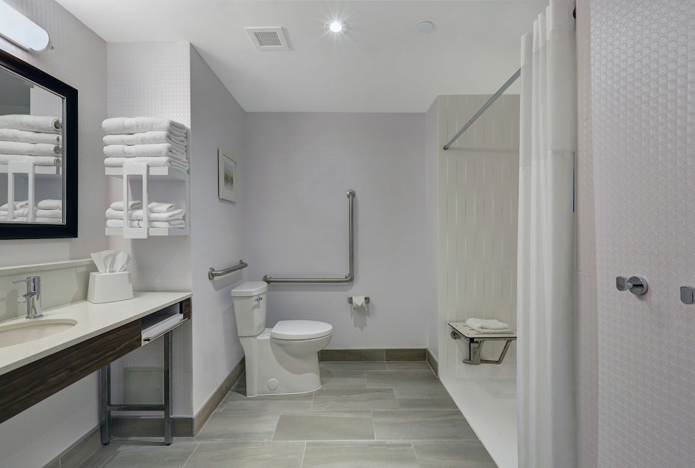 Room, 1 King Bed, Accessible (Roll-In Shower) - Photo 3