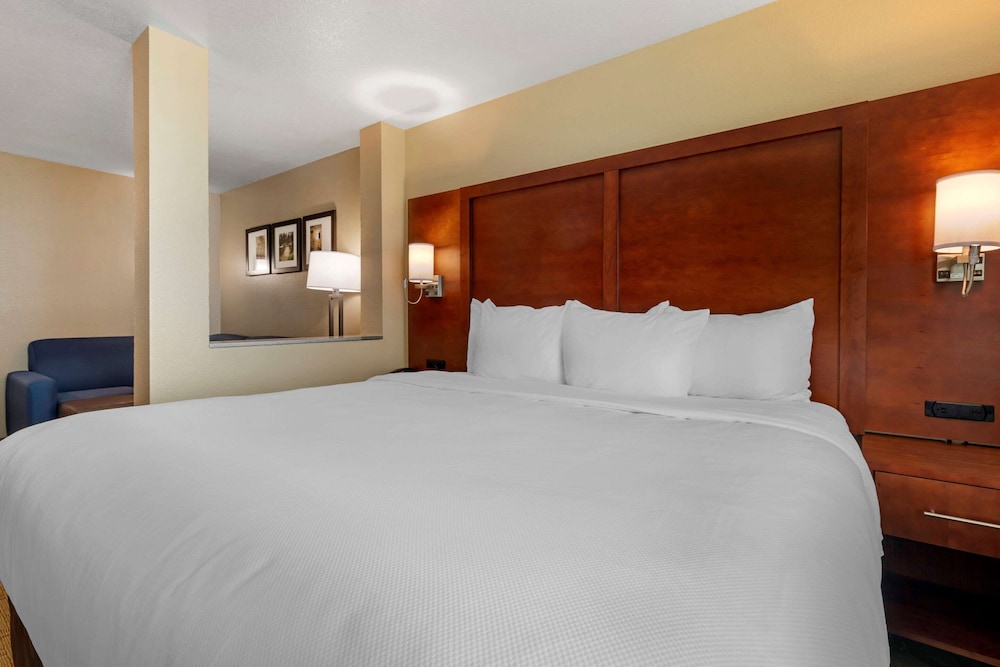 Standard Suite, 1 King Bed with Sofa bed, Non Smoking - Photo 8