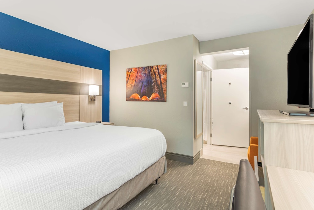 Standard Room, 1 King Bed, Accessible, Refrigerator & Microwave photo 1