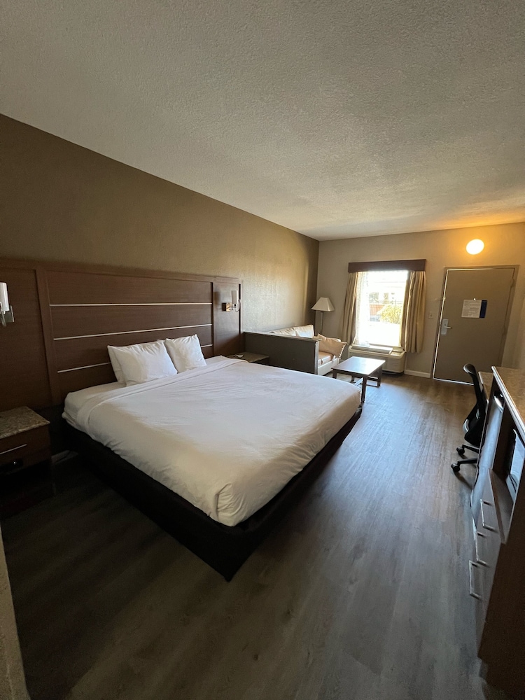 Suite, 1 King Bed with Sofa bed, Non Smoking photo 2