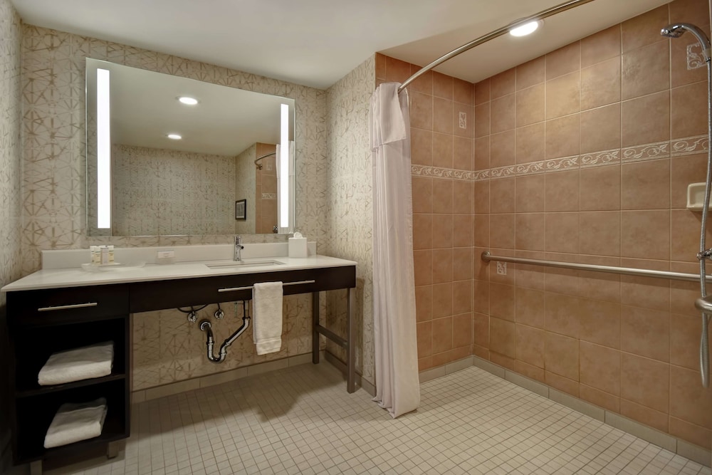 Suite, Accessible, Non Smoking (Roll-in Shower) - Photo 4