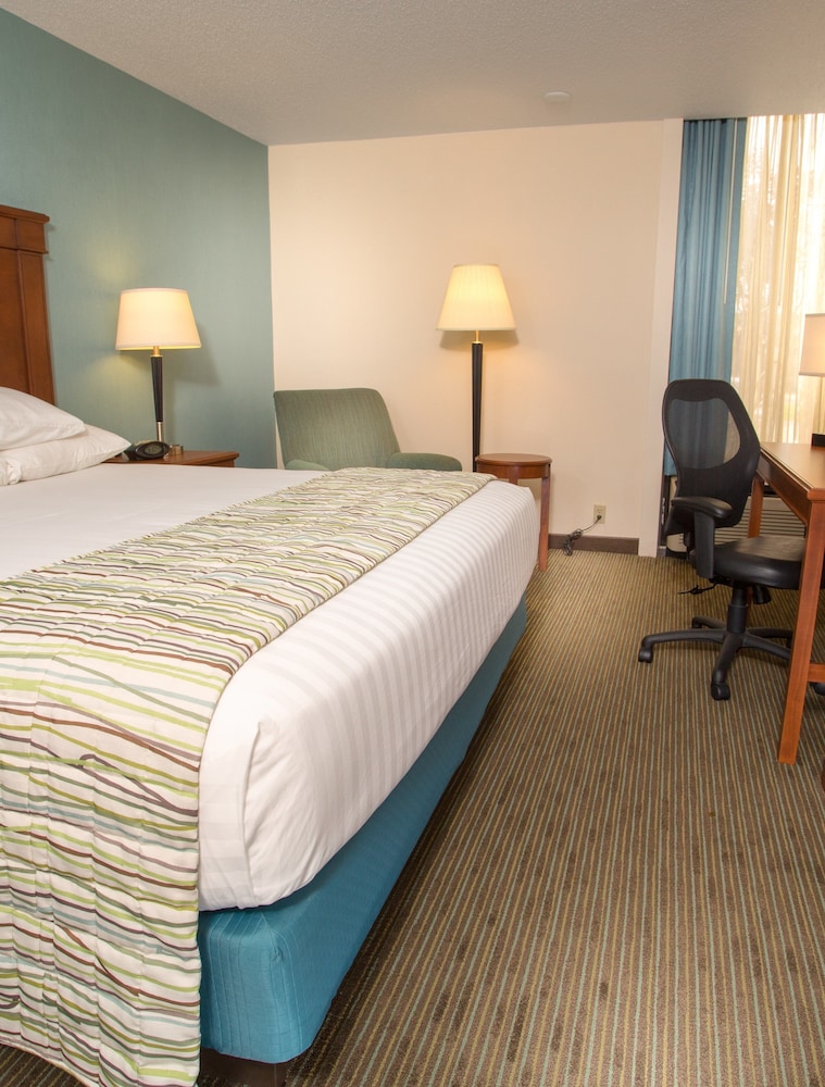 Deluxe Room, 1 King Bed, Refrigerator & Microwave (Upper Floor) photo 3