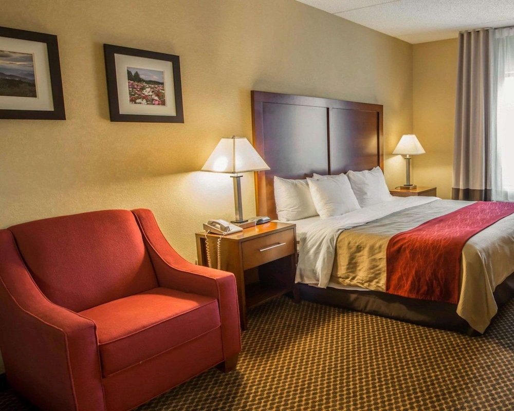 Standard Suite, 1 King Bed, Jetted Tub photo 2