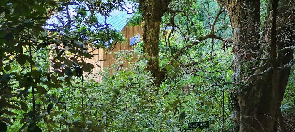 Family House photo 3