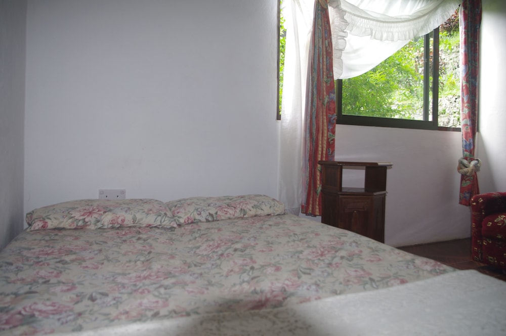 Basic Villa, 3 Bedrooms, Garden View photo 3