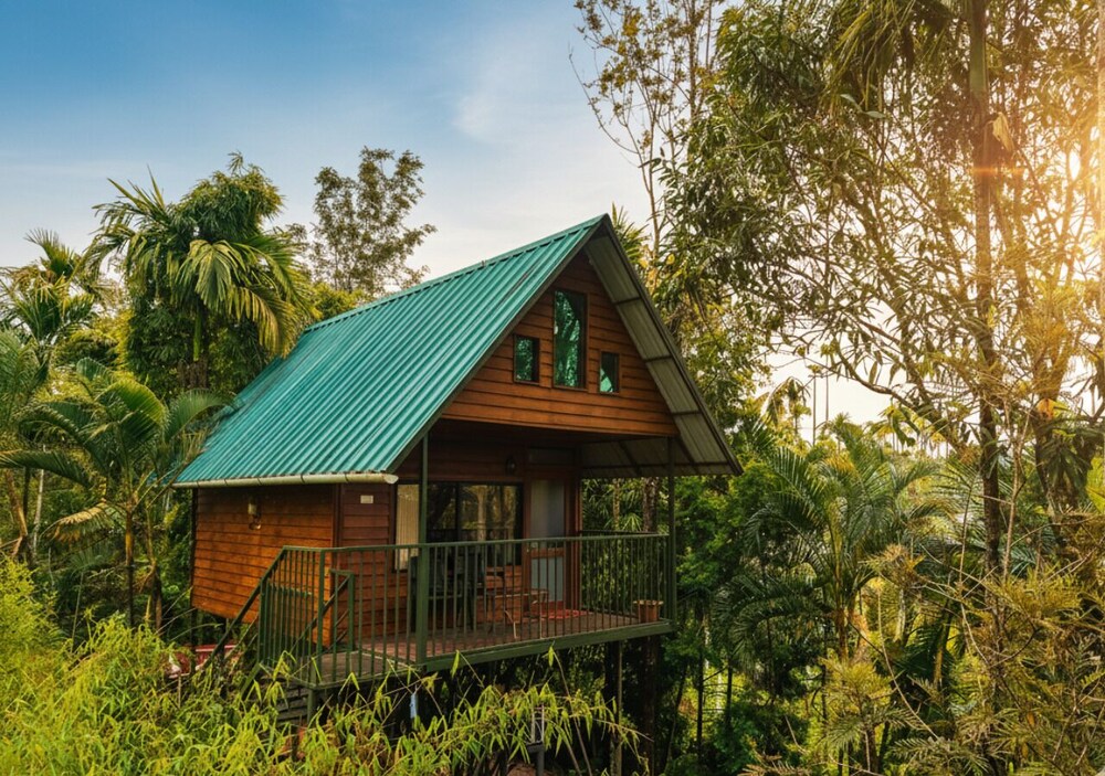 Caribbean Treehut photo 1
