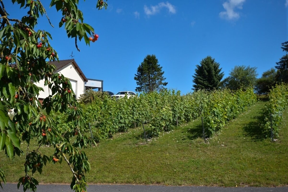 Le Clos du Moulin, Foto 3