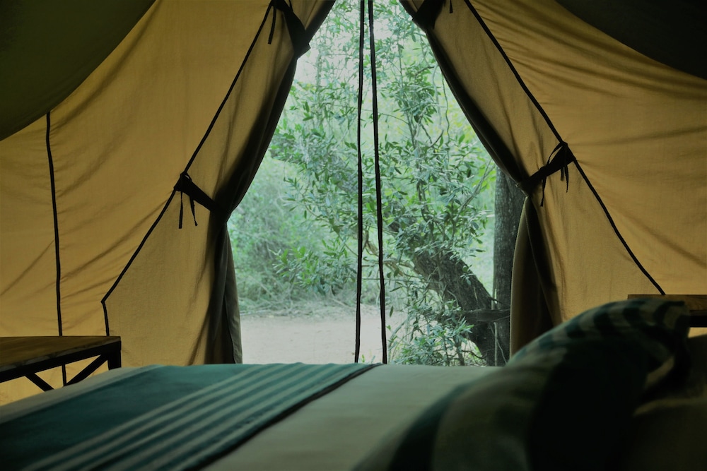 Tent, Accessible, Garden View photo 1