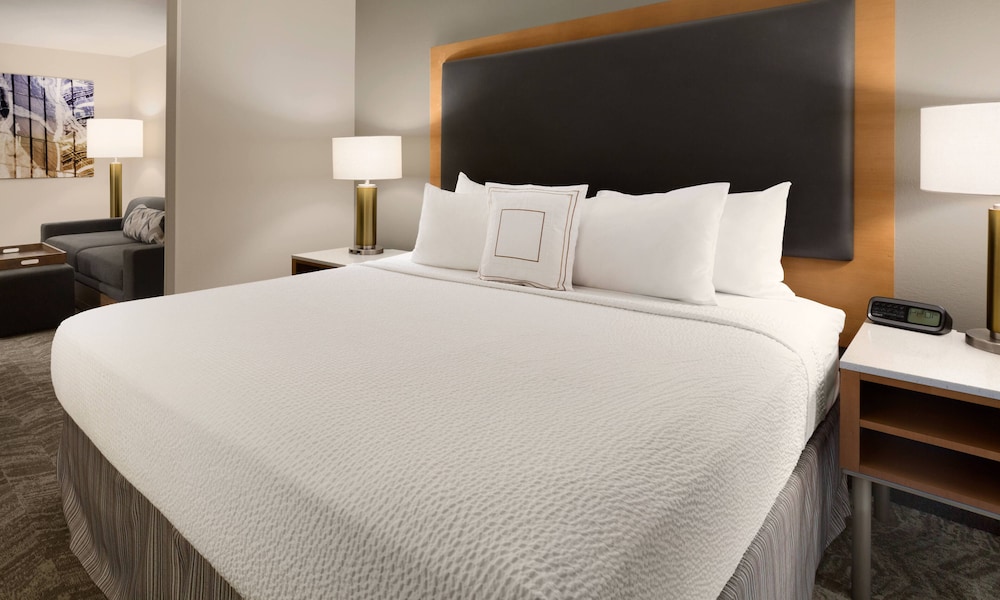 Suite, 1 King Bed - Photo 3