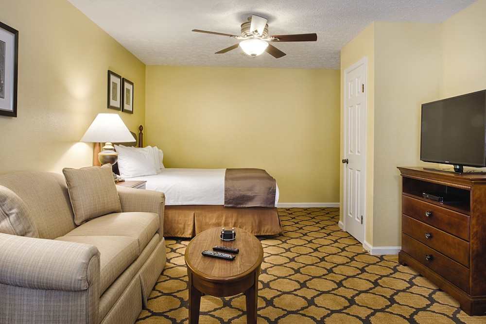 Standard Studio Suite, 1 King Bed, Kitchenette