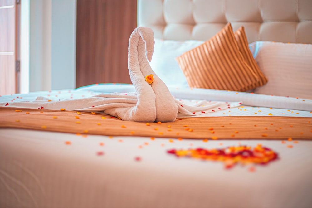 Premium Room - Photo 9