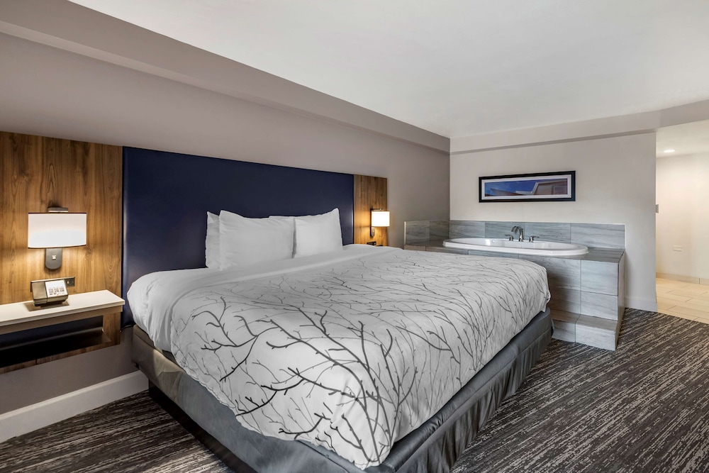 Suite, 1 King Bed, Non Smoking, Balcony (with Sofabed) - Photo 3