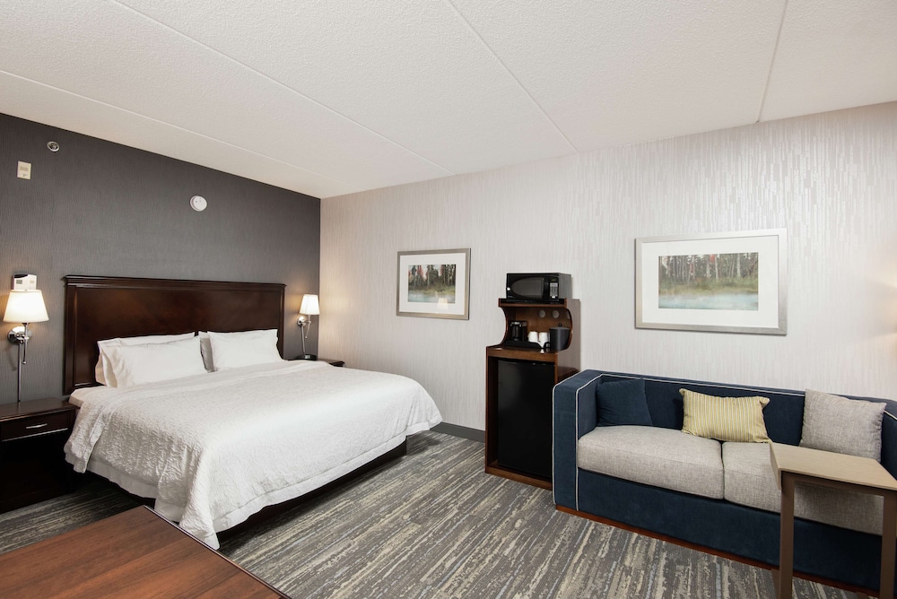 Standard Room, 1 King Bed with Sofa bed, Accessible, Non Smoking - Photo 2