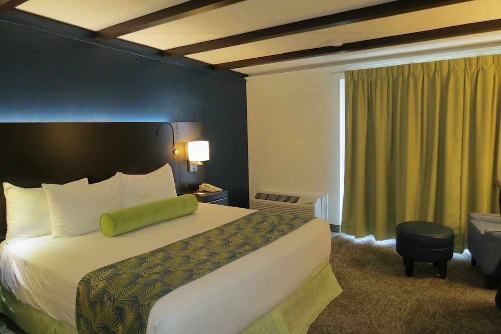 Room, 1 King Bed, Non Smoking - Photo 2