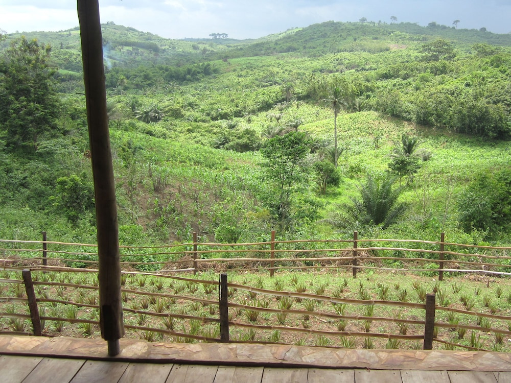 Family Chalet, Private Bathroom, Garden View photo 3