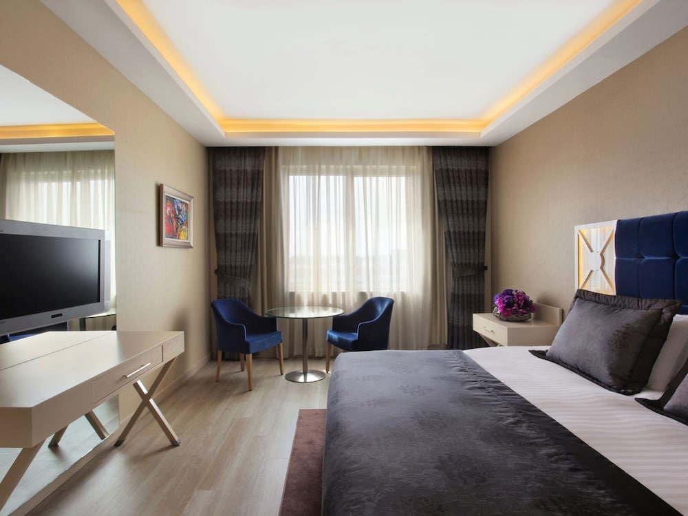 Executive Room photo 3