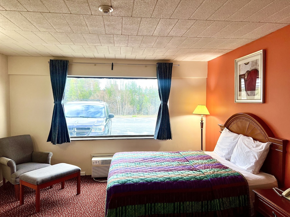 Comfort Single Room, 1 King Bed photo 2