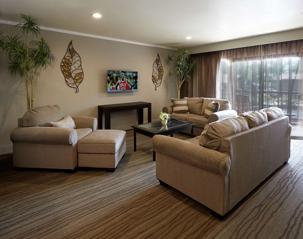 Suite - Photo 3