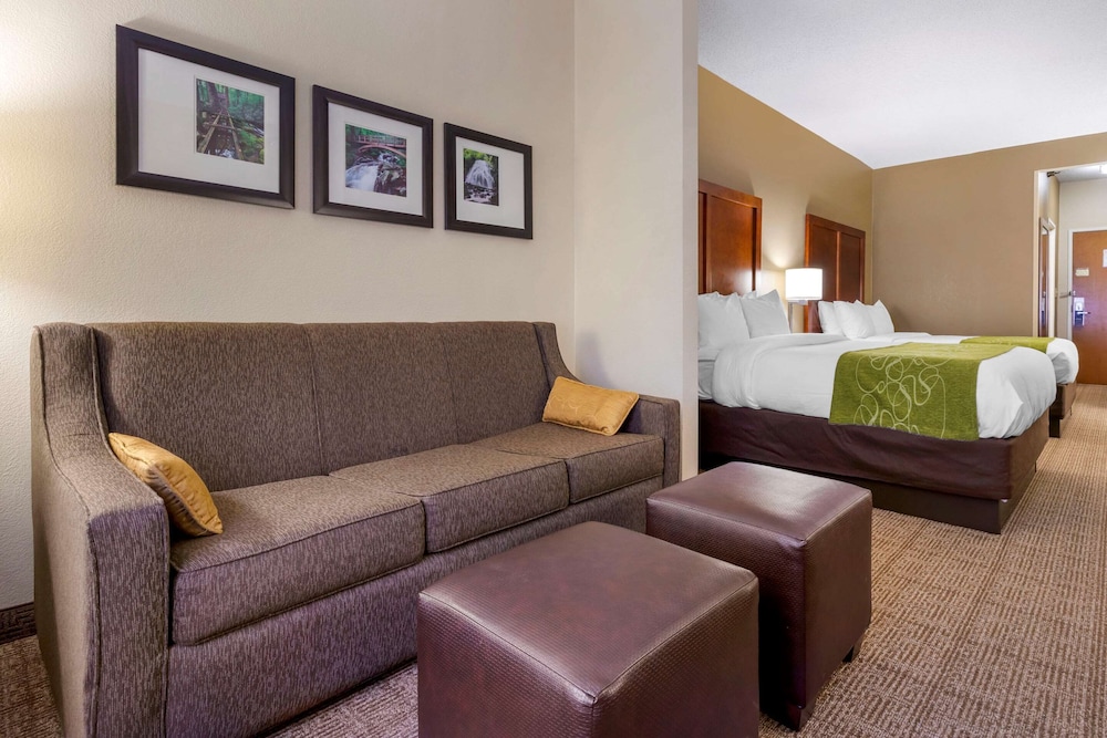 Suite - Photo 6